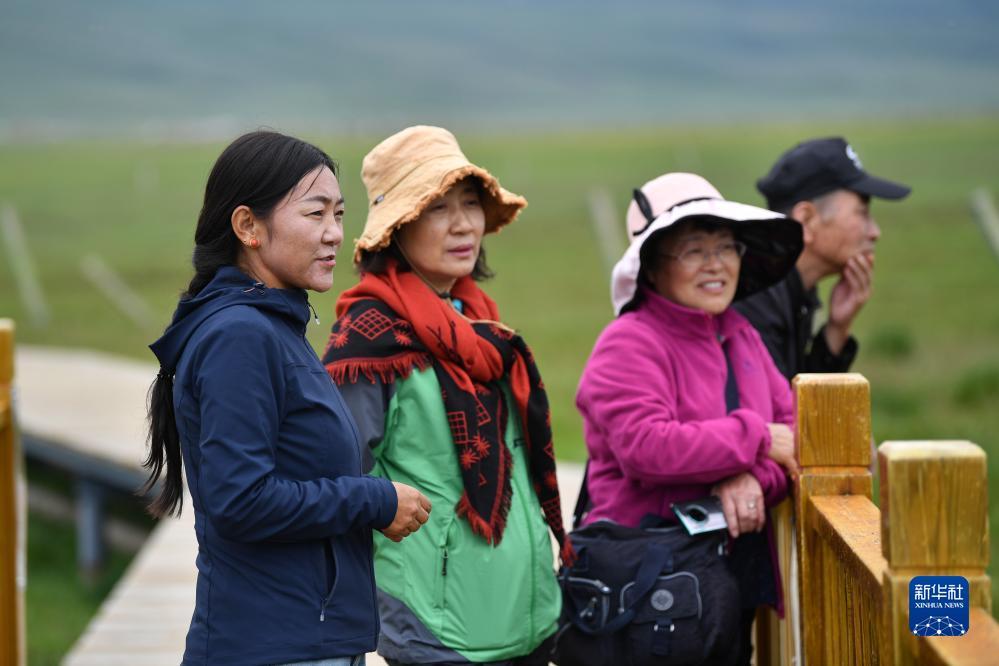 高美梅赌场